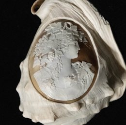 Continental Carved Cameo Conch Shell Circa 1875-1895 *Apprasied