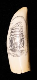 Scrimshaw Reproduction Sperm Whale Tooth ArTek Replica