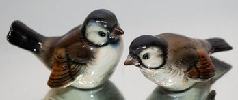 Pair Of Goebel Brown Finches