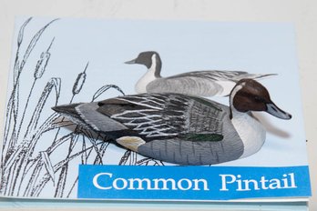 1983 Common Pintail Miniature Ducks Of North America Decoy