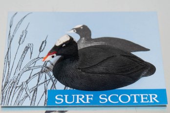 1982 Surf Scoter Miniature Ducks Of North America Decoy