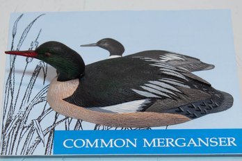 1982 Common Merganser Miniature Ducks Of North America Decoy