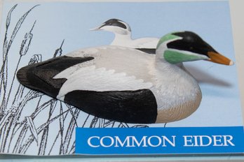 1982 Common Eider Miniature Ducks Of North America Decoy