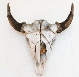 Antique Buffalo Skull