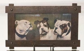 Rustic Framed Picture Of 3 Bulldogs