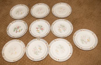 10' Johnson Bros England Plates The Vigo (10)