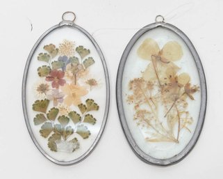 Small Vintage Framed Dried Flower Art