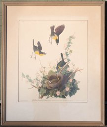 R. Havell Yellow Breasted Chat 1947 Framed Print After Audubon