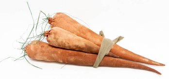 Bundle Of 3 Canvas Dyed Carrots