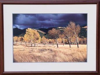 1982 Thomas Mangelsen Large! Signed Numbered Colorado Landscape Photograph