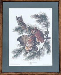 Engraved Printed And Colored By R. HAVELL, London Mottled Owl