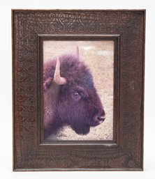 Wood Scroll Design Framed Profile Photo Of Young Bison