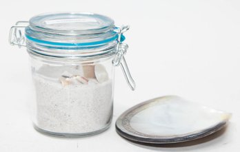 Dolphin Engraving Oyster Shell Dish And Jar Of Shells From Clearwater