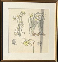 Rockwood Artist Josephine Zettae Still Life Daffodil Study On Paper