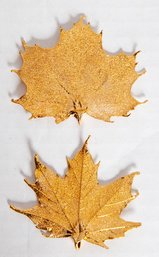Sugar Maple Leaf Pendants Dipped In 14k Gold