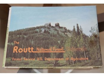 Vintage Colorado The Routt National Forest Map