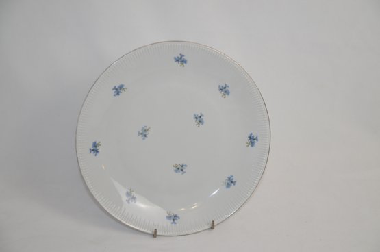 (#86) Orcelana Poland Hand Painted 10' Plate (slight Chip On Rim)