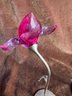 (#205) Swarovski Pair Of Crystal Paradise Flower Dorora Fuchsia Orchid ~ Blue Violet Damboa Paradise Exotic