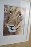 (#42) Framed Picture Of A Lion Face  22'x18' Can Be Hung Vertical Or Horizontal