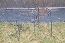 (#21) Metal Plant Stand And Plant Stand Topiary