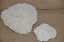 (#90) Brain Coral Sea Reef Lot Of 2 Small 4' And Large 7'x6'