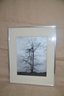 (#128) Framed Photography Picture Of Winter Tree
