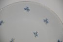 (#86) Orcelana Poland Hand Painted 10' Plate (slight Chip On Rim)
