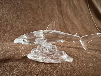 (#192) Swarovski BABY SHARK On Wave Figurine 5x2