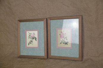(#136) Pair Of Framed Rose Pictures 9x11