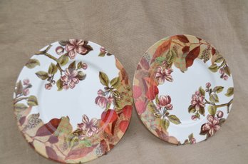 (#38) Royal Stafford Plates (2) Made In Burslen Heart Of The Potties England Microwave Dishwasher Safe