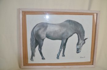 102) Framed Pencil Sketched Horse By Graziano 99'