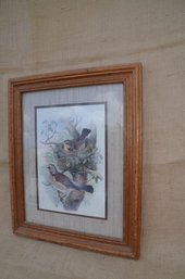 (#164) Wood Framed Bird Print 13.5x16.5