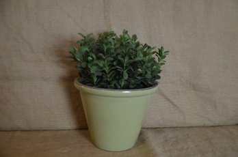 (#83) Artificial Boxwood Plant In Ceramic Planter