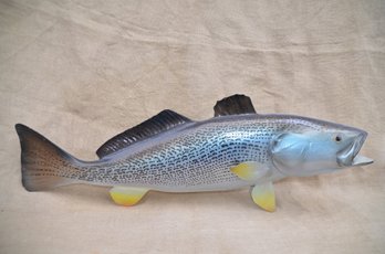 (#92) Taxidermy Weak Fish 35.5' Trophy Fish