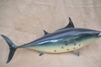 (#93) Taxidermy Tuna Fish 28' Hook On Back
