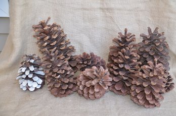 (#7LS) Large Pine Cones