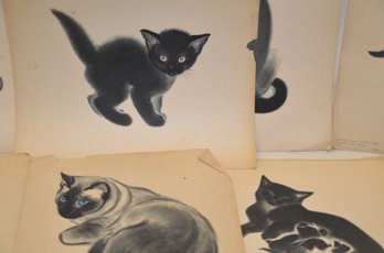 430) Pencil Crayon Drawings Of Cats / Kittens 11.5x14 Set Of 9