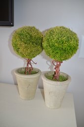 Pair Of Cement Planter Tree Topiary 12'H Home Decor