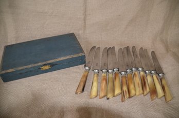 38) Antique French Paris Dinner Knives Horn Handles Silver Plate Collar In Orig. Box