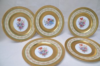 64) Vintage Porcelain Royal Bavarian Hutschenrueuther Selb Germany 10.5' Round Gold Rim Floral Center Set Of 5