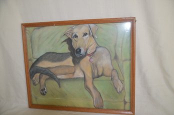 108) Pencil Sketched Picture Of A Dog Framed Signed Graziano 99'