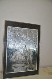 121) Framed Black And White Optical Illusionary Art Of Birch Trees Manifestation, Inc. 16x20