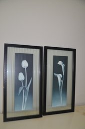 122) Set Of 2 Framed Under Glass Flower Pictures 11.5x21