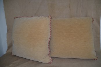 (#83) Pair Custom 21' Throw Accent Pillows No Zipper