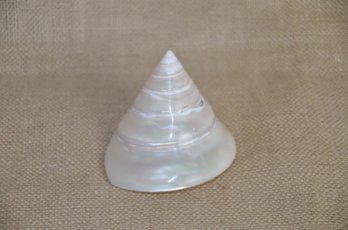 (#106) Pearl Trochus Cone Spiral Shape Sea Beach Shell Polished 4'