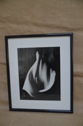 (#129) Framed Photography Picture Of Lily Close Up