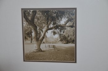 (#131) Framed Photography Picture In Park Bench