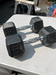 20 Lb Dumbbell Weights