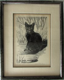 Pencil Sketch Of A Seated Cat