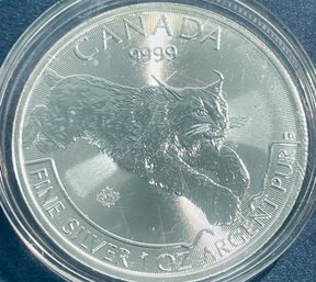 2017 1 OZT. .9999 FINE SILVER CANADA MAPLE LEAF 5 DOLLAR ROUND COIN -  IN PLASTIC CAPSULE